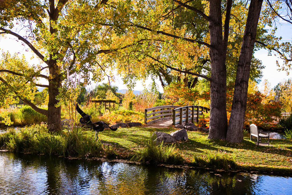 body of water in the foreground. wooden bridge and benches surrounded by trees of gold, orange and red