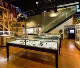 Mines Museum of Earth Science & Tour