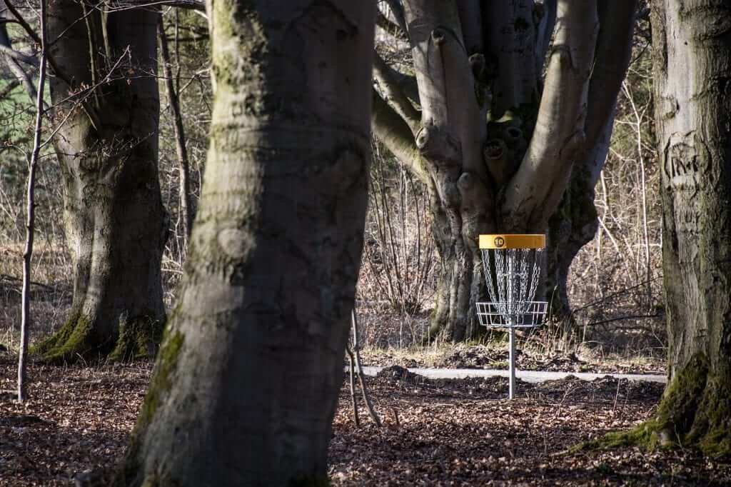 disc golf basket in some brush, surrounded by tall trees