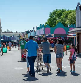 several individuals, walking away from the camera on a fully paved surface pushing a grocery cart