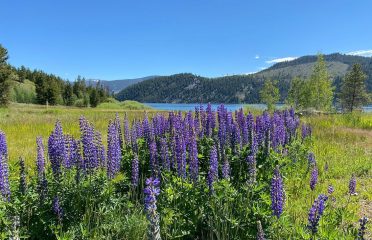 Frisco Scenic Overlook