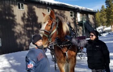 Golden Horseshoe Tour