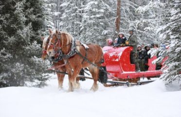 Golden Horseshoe Tour