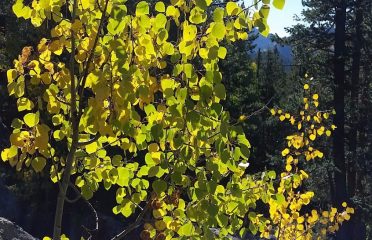 Golden Gate Canyon State Park