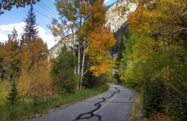 Vail Pass Path