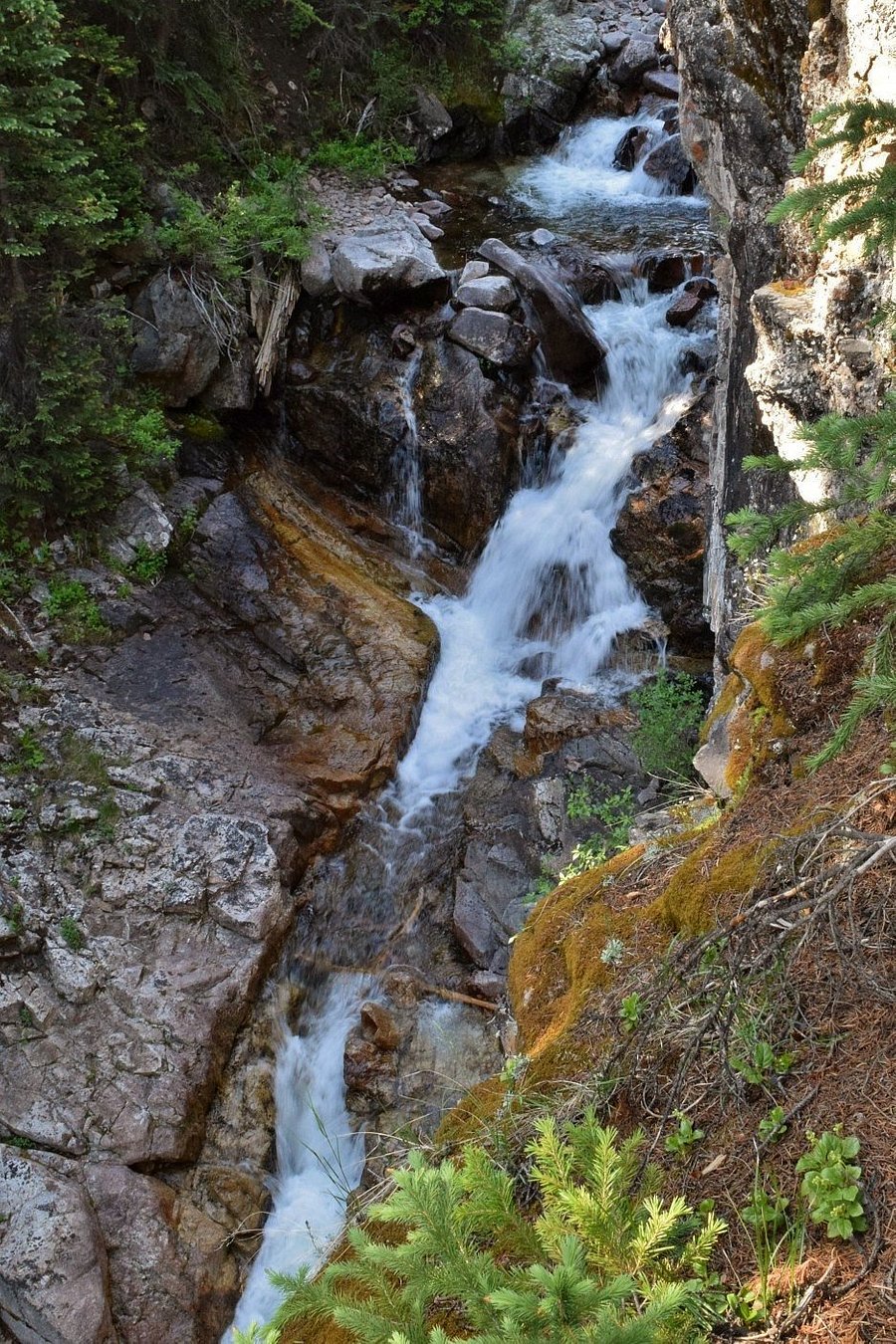 Booth Falls Trail