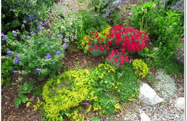 Breckenridge Alpine Garden