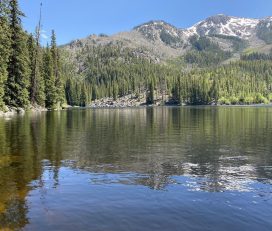 Weller Lake Trail