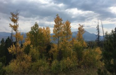 Peaks Trail