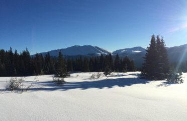 Francie’s Cabin Near Breckenridge