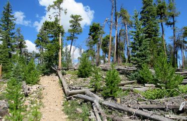 Gold Hill to Peaks Trail