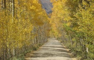 Boreas Pass Road