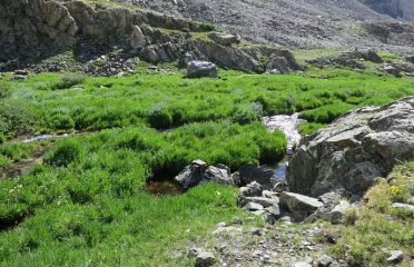 Monte Cristo Gulch