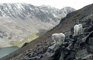 Quandary Peak