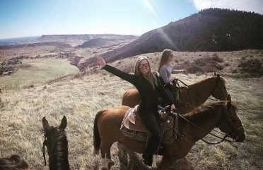 Pine Cliff Stables