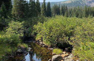 Spruce Creek Trail