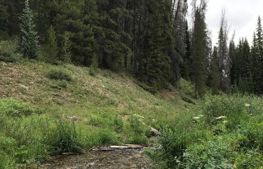 Burro Trail