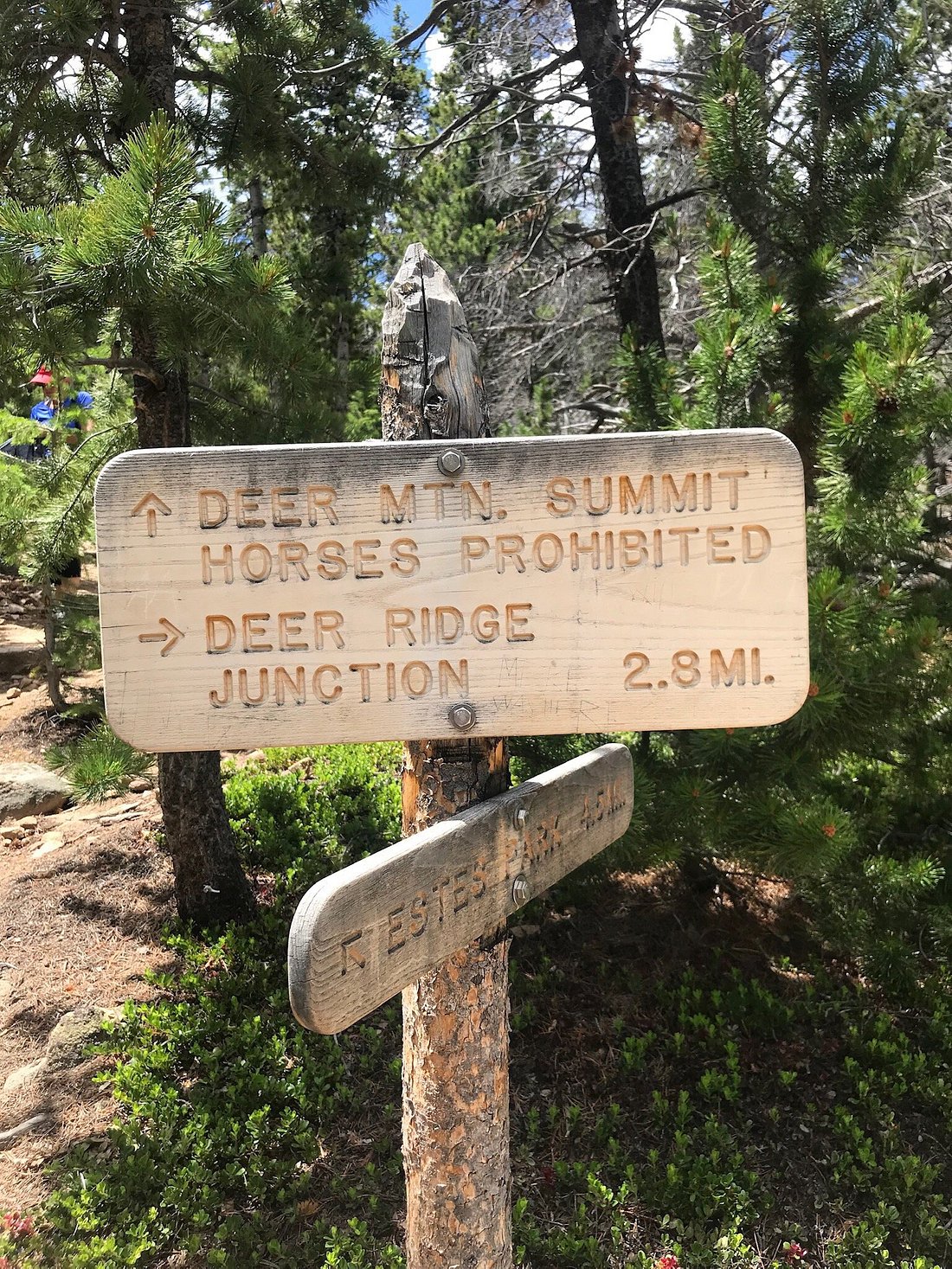 Deer Mountain Trail