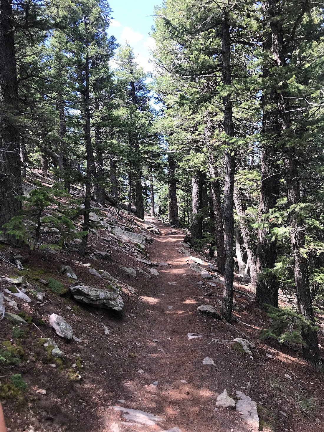 Deer Mountain Trail