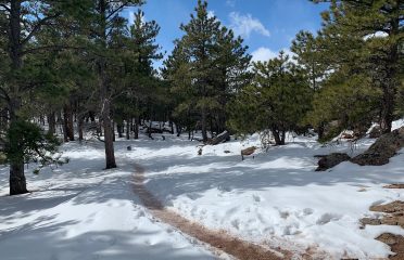 Mount Sanitas Trail