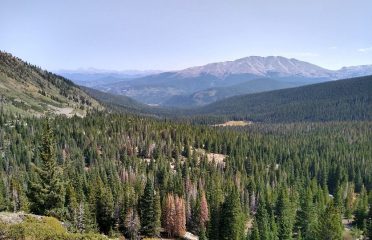 Spruce Creek Trail