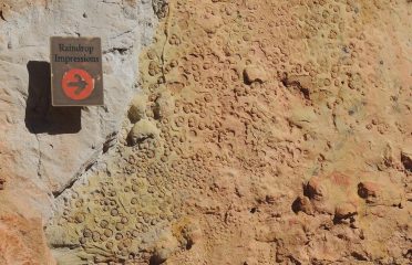 Triceratops Trail