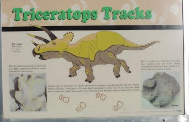 Triceratops Trail