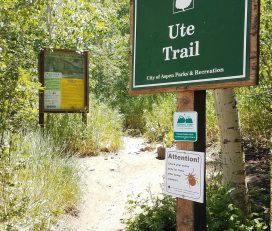Ute Trail