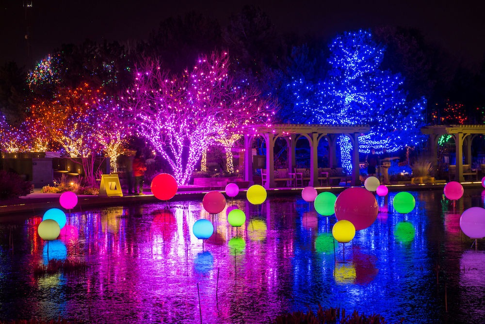 each background tree decorated with a single color of lights, foreground pond with glowing spheres of different colors floating within