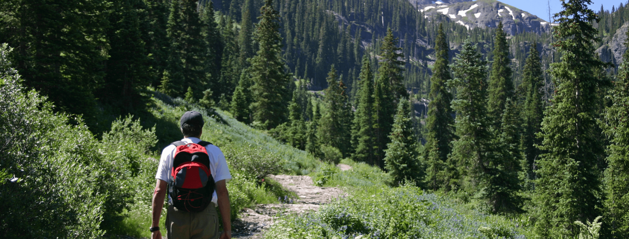 adult male wearing a red backpack walking on a trail into the woods