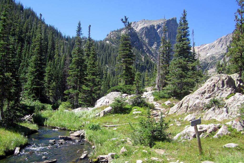 outdoor scene with river, pine trees, and a mountain in the background